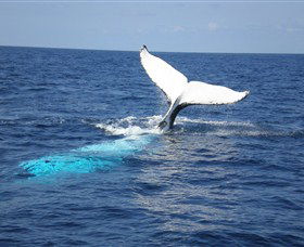 Booderee National Park: Cape St George Lighthouse - Accommodation BNB 1