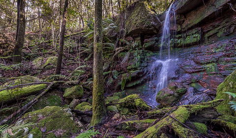 Coorabakh National Park - Accommodation BNB 0