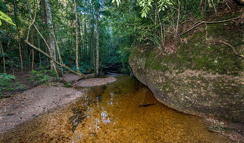 Coorabakh National Park - Accommodation BNB 2