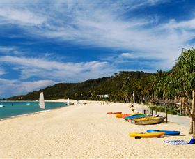 Tangalooma Dolphin Feeding - Accommodation BNB 2
