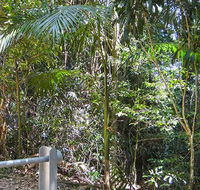 Goorgana walking track - Accommodation BNB