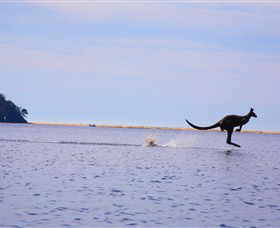 Tuross Lake - Accommodation BNB 2