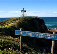 One Tree Point Lookout and Picnic Area - Accommodation BNB