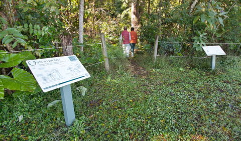 Rainforest Walk - Accommodation BNB 0