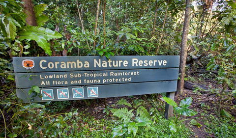 Rainforest Walk - Accommodation BNB 1