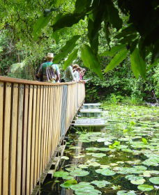 Booerie Creek NSW Accommodation BNB