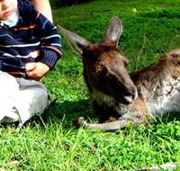 Bunbury Wildlife Park - Accommodation BNB