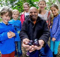 Wigay Aboriginal Culture Park - Accommodation BNB