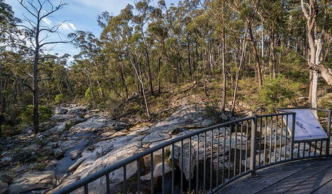 Myanba Gorge Walking Track - Accommodation BNB 0