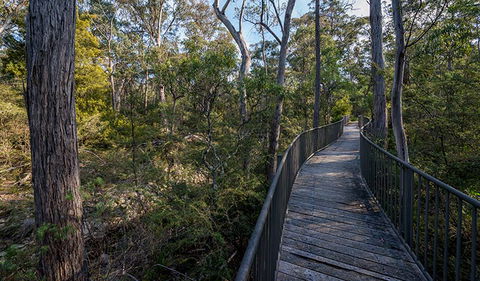 Myanba Gorge Walking Track - Accommodation BNB 1