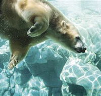 Australia's Sea World - Accommodation BNB