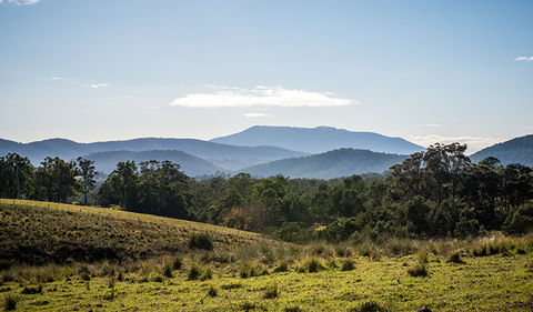 Biamanga National Park - Accommodation BNB 3