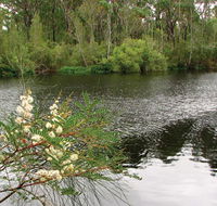 Wallingat National Park - Accommodation BNB