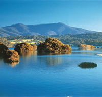 Wagonga Picnic Area - Accommodation BNB