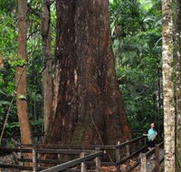 Bird Tree and Benaroon - Accommodation BNB