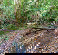 Ulidarra National Park - Accommodation BNB