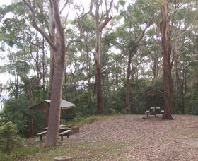 Orara East State Forest - Accommodation BNB 2
