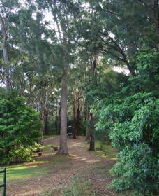 Orara East State Forest - Accommodation BNB 1