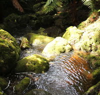 South East Forests National Park - Accommodation BNB