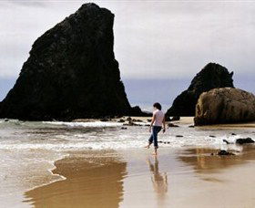 Glasshouse Rocks And Pillow Lava - Accommodation BNB 1