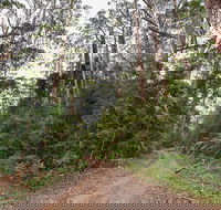 End Peak walking track - Accommodation BNB