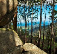 Mount Gulaga Mount Dromedary Walk - Accommodation BNB