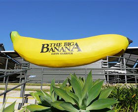 The Big Banana - Accommodation BNB 0