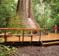 Burrawan State Forest - Accommodation BNB