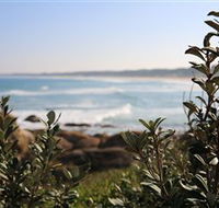 Cape Conran Nature Trail - Accommodation BNB
