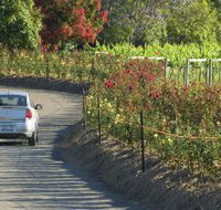 Cassegrain Wines - Accommodation BNB