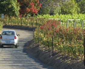 Cassegrain Wines - Accommodation BNB 0