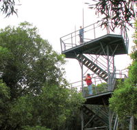 Cape Hawke lookout - Accommodation BNB