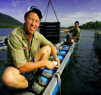 Armstrong Oysters - Accommodation BNB