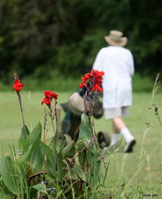 Teven Valley Golf Course - Accommodation BNB 3