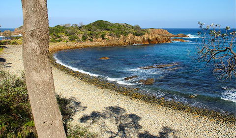 Mimosa Rocks Walking Track - Accommodation BNB 2