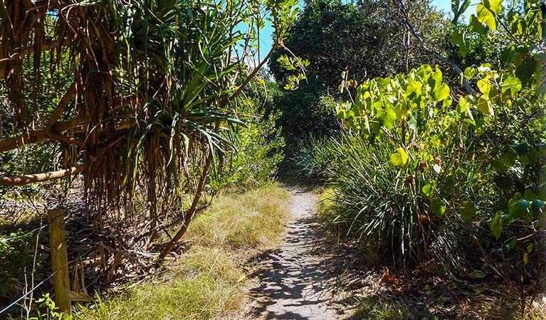 New Brighton NSW Accommodation BNB