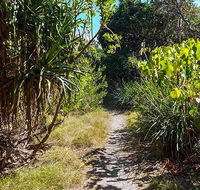 North Head walking track - Accommodation BNB