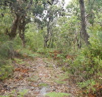 Kinchela Trig Lookout walk - Accommodation BNB