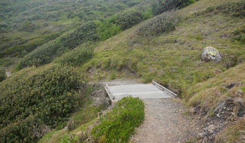 Connors Walking Track - Accommodation BNB 2