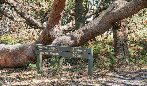 Middle Lagoon Walking Track - Accommodation BNB 0