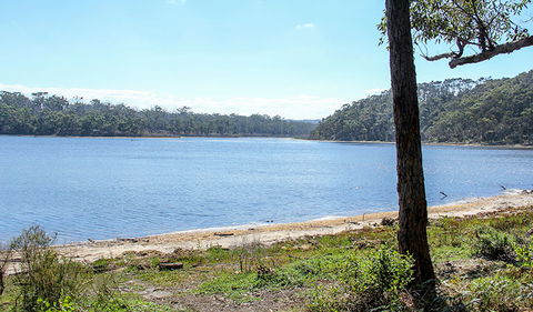 Middle Lagoon Walking Track - Accommodation BNB 1
