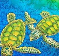 Sea Silks Gallery - Accommodation BNB