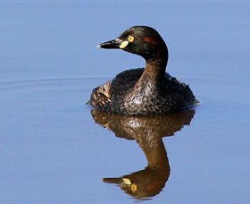 Panboola Wetlands - Accommodation BNB 0