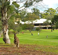 Pambula Merimbula Golf Club - Accommodation BNB