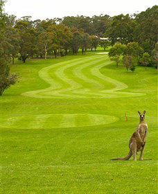 Pambula Merimbula Golf Club - Accommodation BNB 2