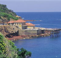 Merimbula Aquarium - Accommodation BNB