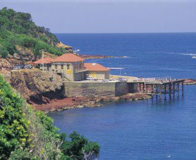 Merimbula Aquarium - Accommodation BNB 0