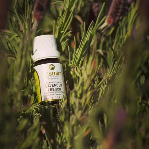 Jasmin Organics Skincare Farm And Factory - Accommodation BNB 7