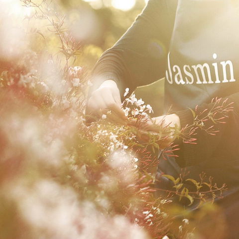 Jasmin Organics Skincare Farm And Factory - Accommodation BNB 8