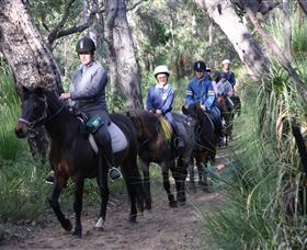 Mirravale Horse Riding School - Accommodation BNB 0